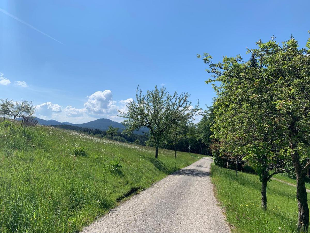 فندق لاندهوتل هيرشين Oberwolfach المظهر الخارجي الصورة