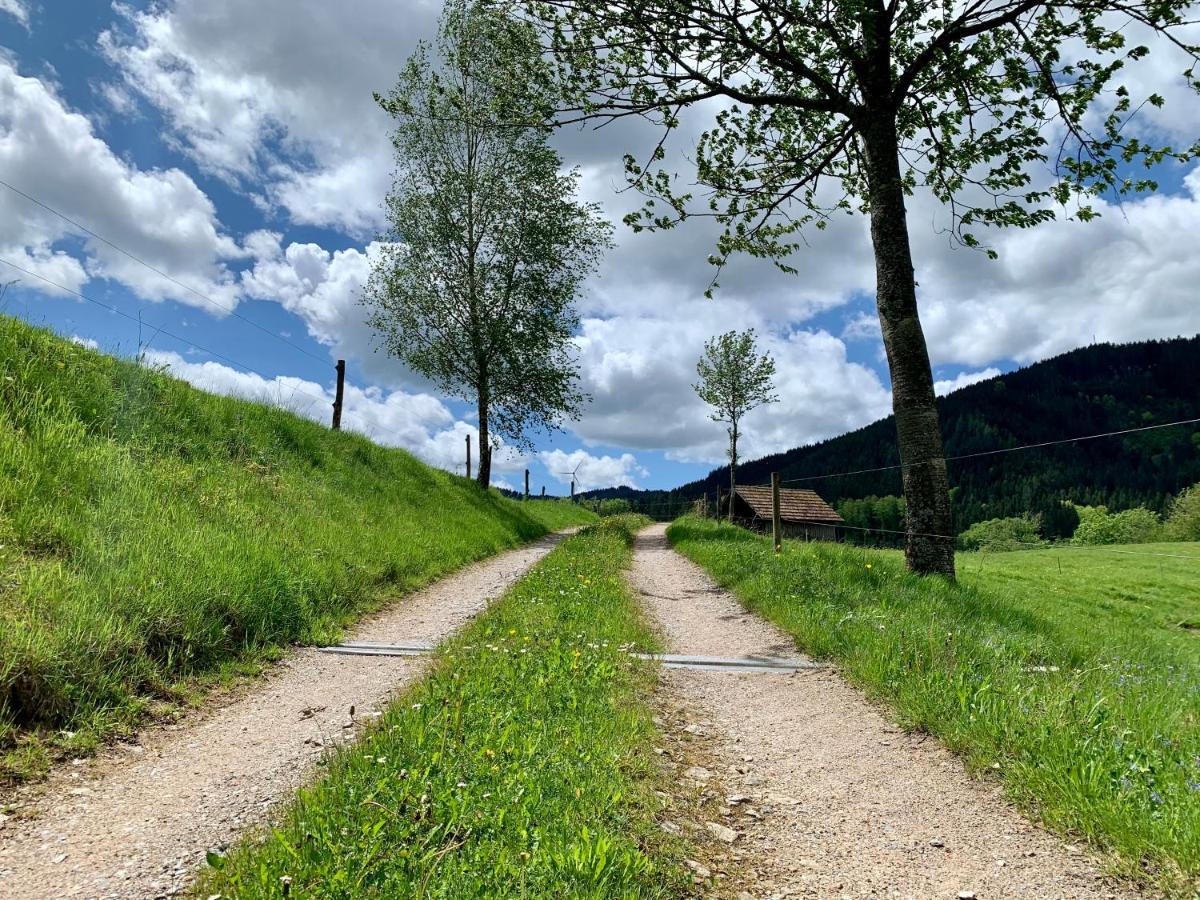 فندق لاندهوتل هيرشين Oberwolfach المظهر الخارجي الصورة