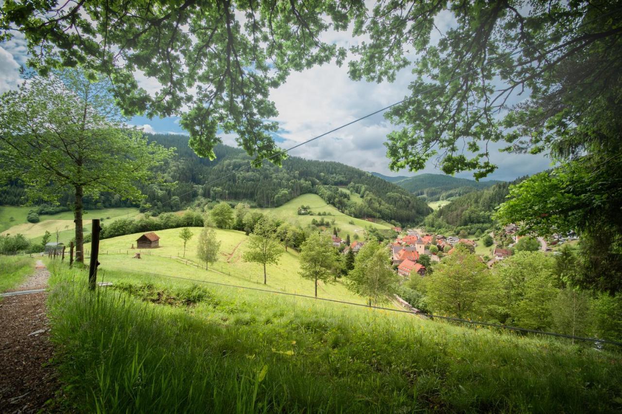فندق لاندهوتل هيرشين Oberwolfach المظهر الخارجي الصورة